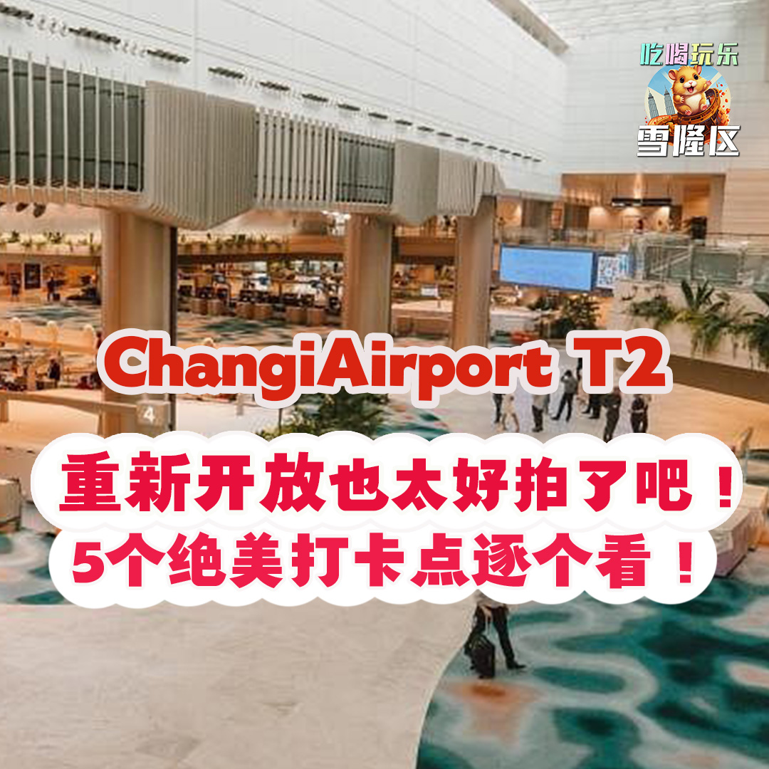 【 也太好拍了吧！Changi Airport T2重新开放！5个绝美打卡点逐个看！】
