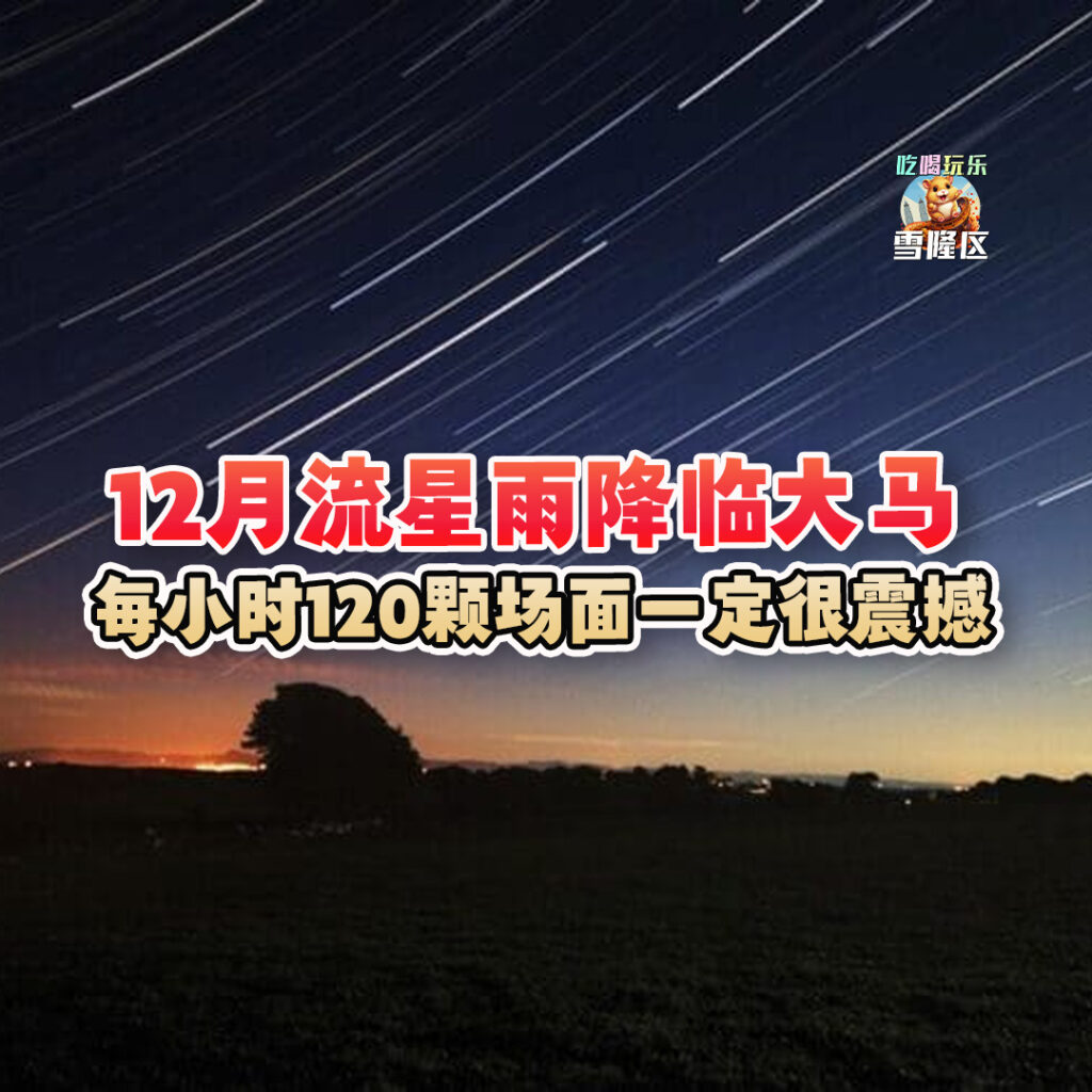 大马吃喝玩乐 - 12月流星雨降临大马