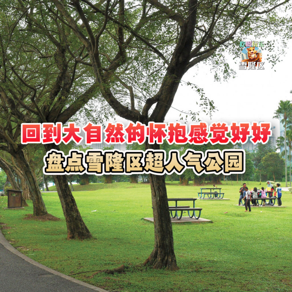 大马吃喝玩乐 - 人气公园