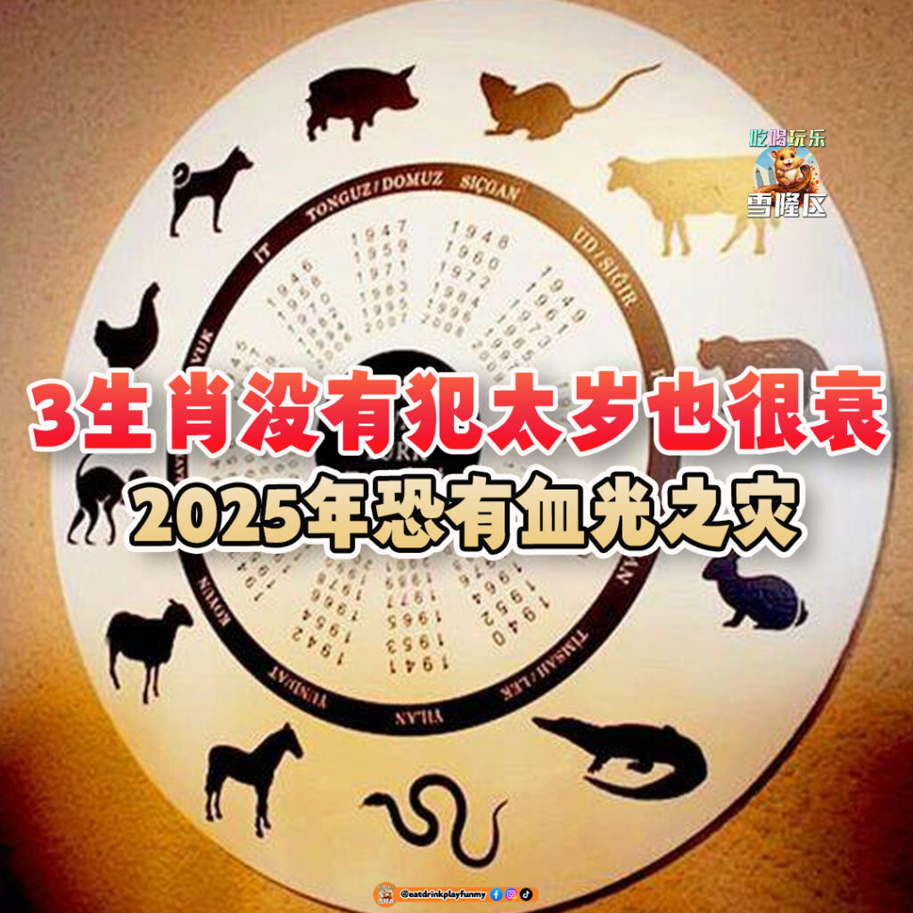 大马吃喝玩乐 - 生肖没有犯太岁 恐怕血光之灾