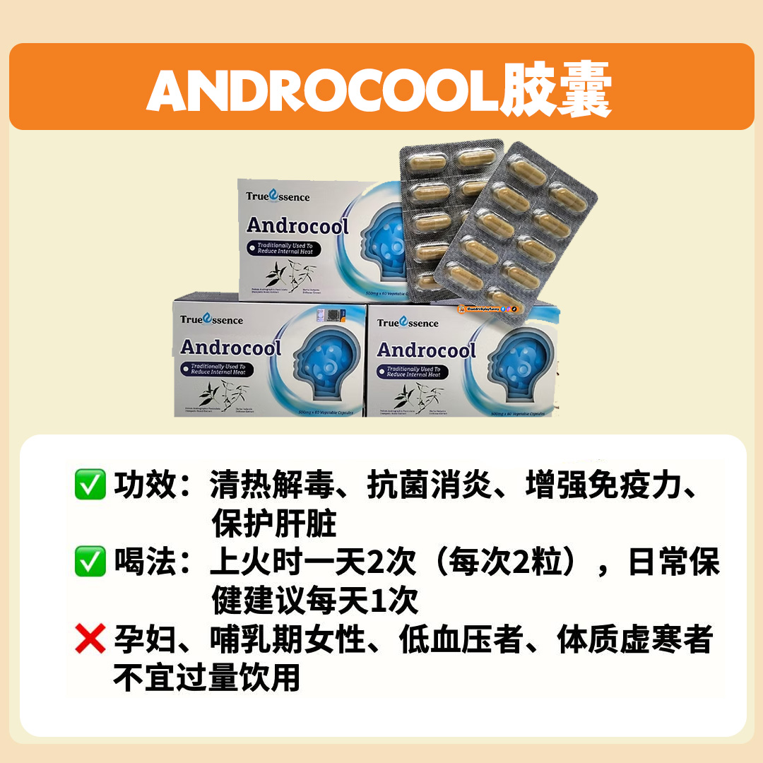 大马吃喝玩乐 - 凉水/凉茶 androcool胶囊