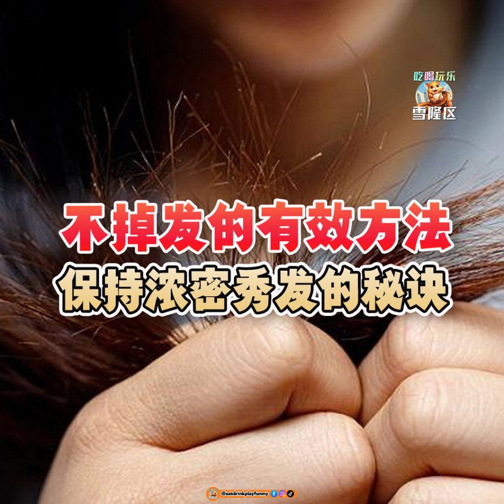 大马吃喝玩乐 - 不掉发的方法