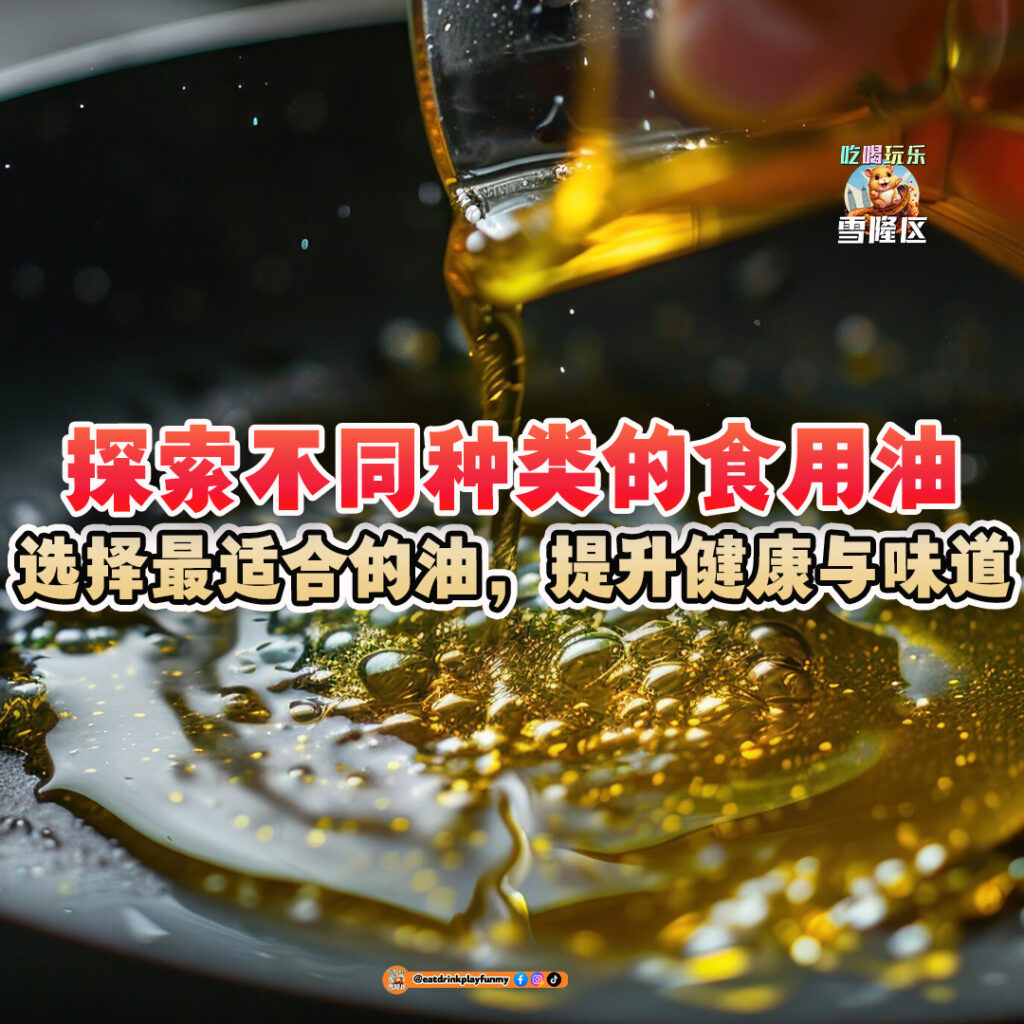 大马吃喝玩乐 - 不同种类的食用油