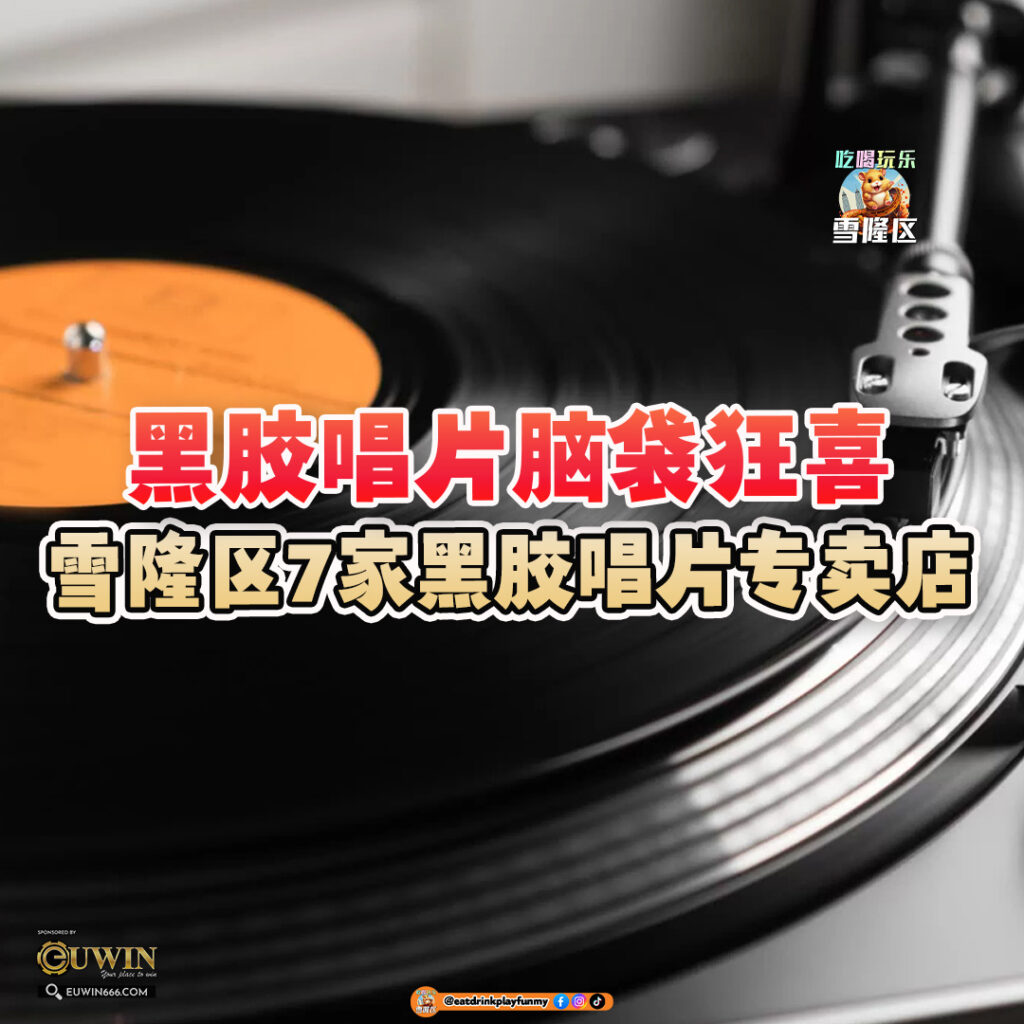 大马吃喝玩乐 - 黑胶唱片
