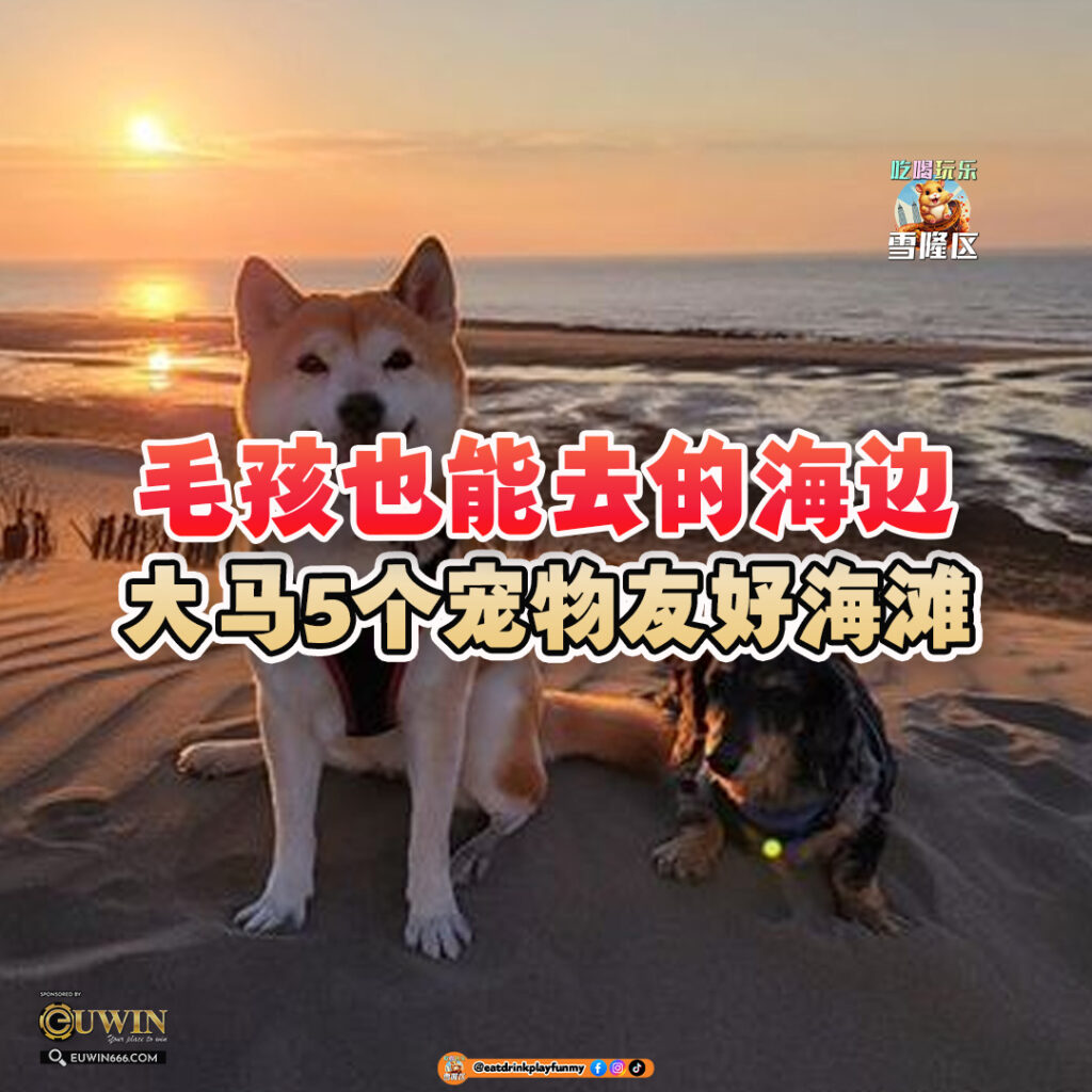 大马吃喝玩乐 - 宠物友好海滩