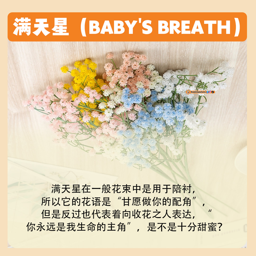 大马吃喝玩乐 - 8种常见花卉的花语 - 520 送花