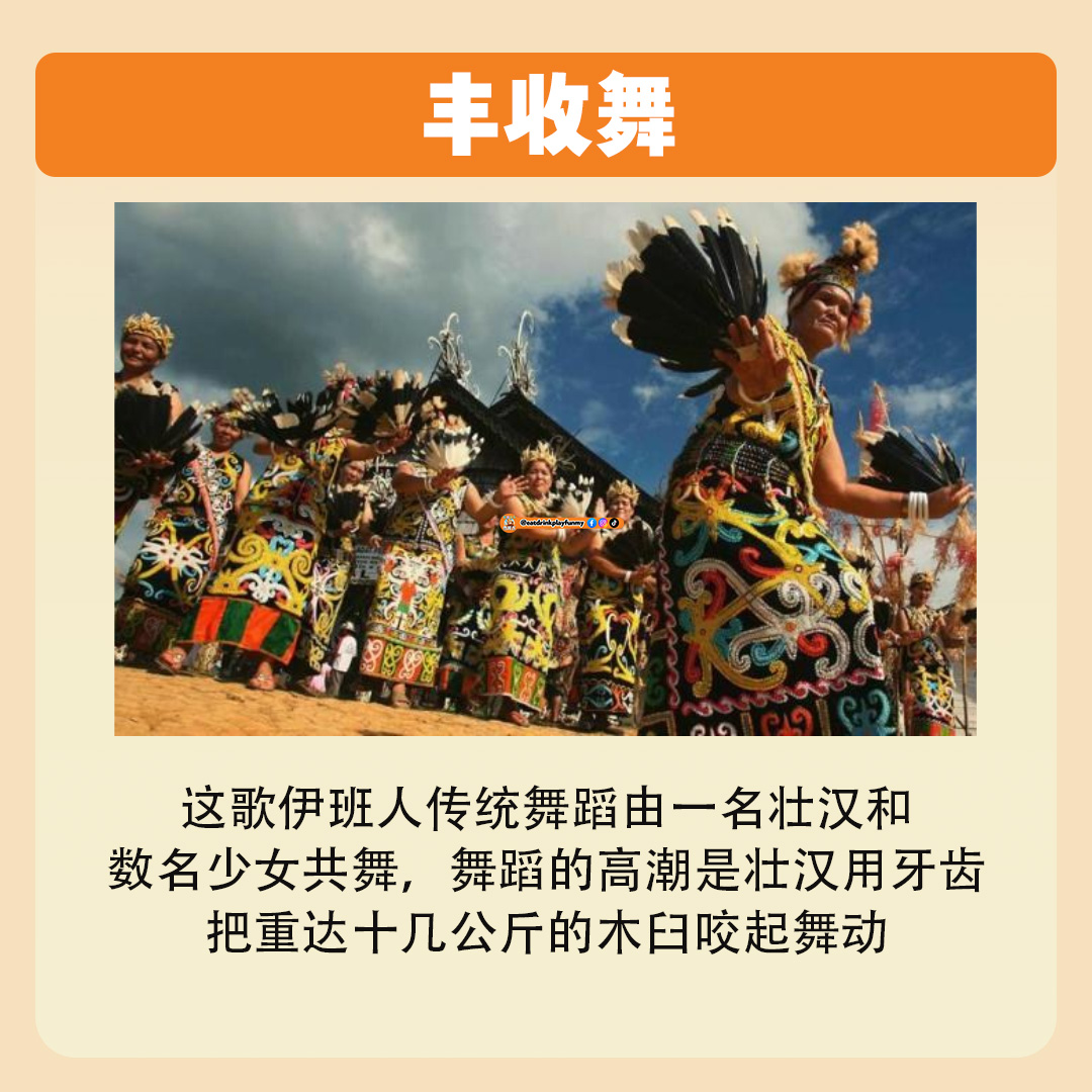 大马吃喝玩乐 -砂拉越的丰收节