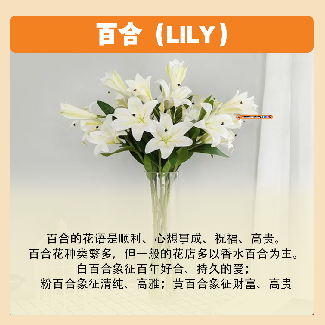 大马吃喝玩乐 - 8种常见花卉的花语 - 520 送花