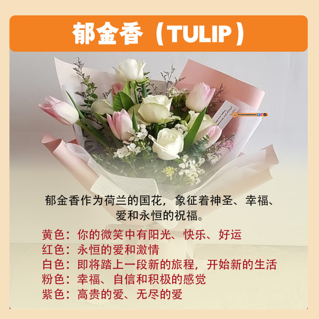 大马吃喝玩乐 - 8种常见花卉的花语 - 520 送花