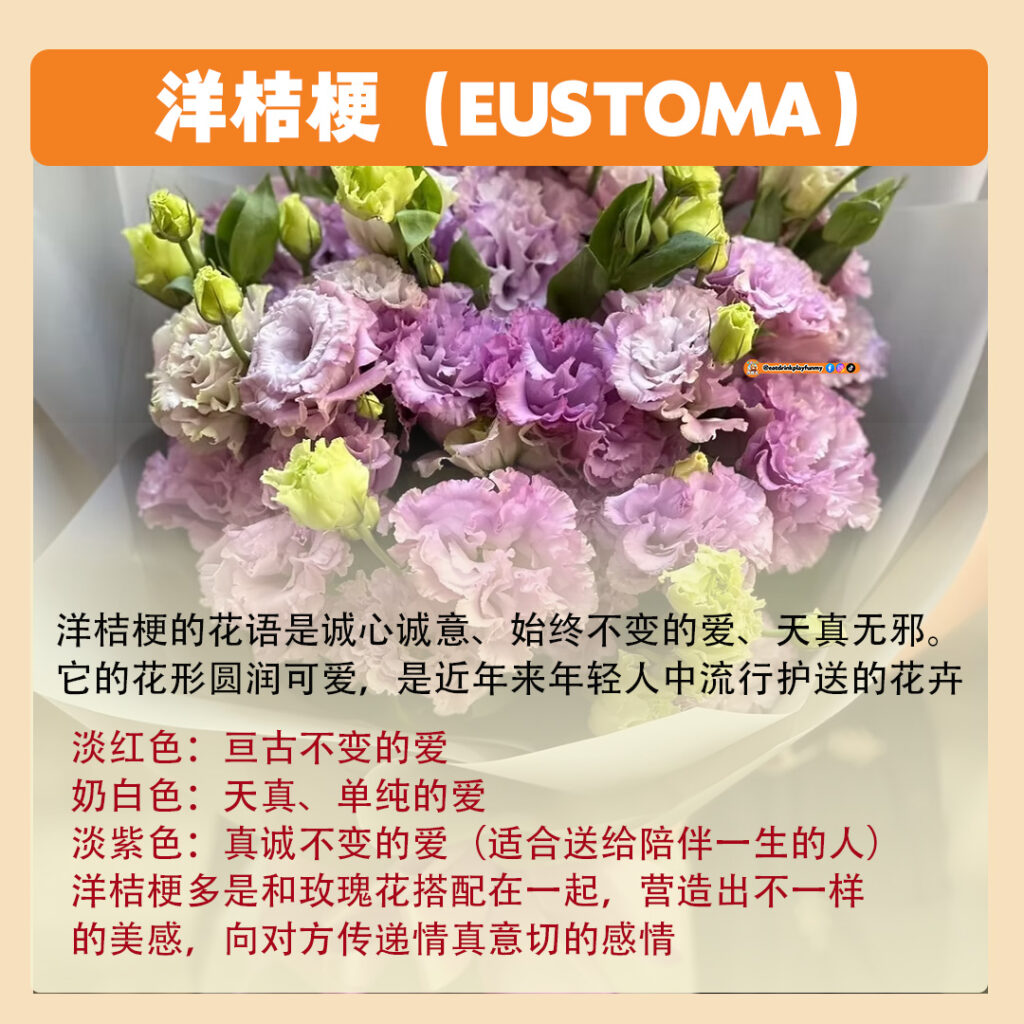 大马吃喝玩乐 - 8种常见花卉的花语 - 520 送花