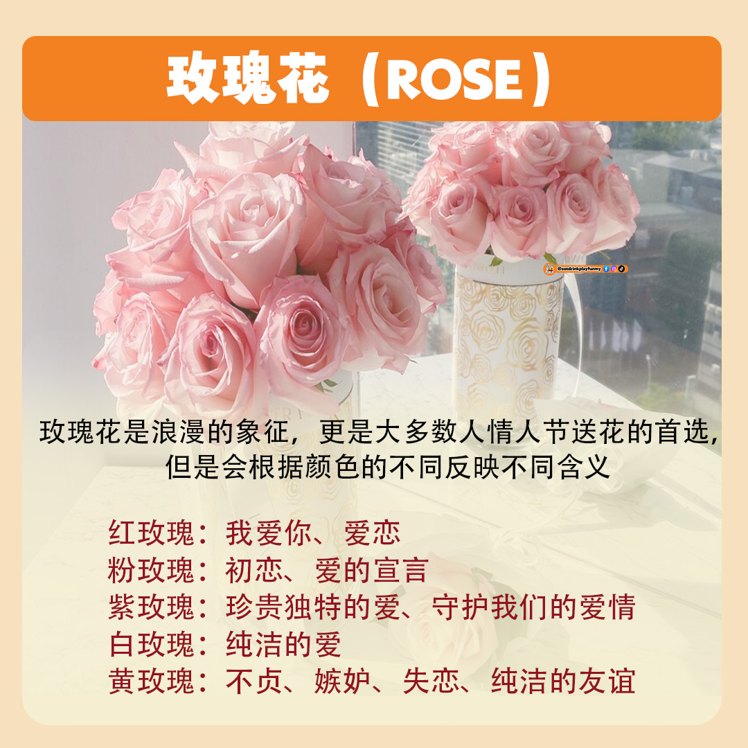 大马吃喝玩乐 - 8种常见花卉的花语 - 520 送花