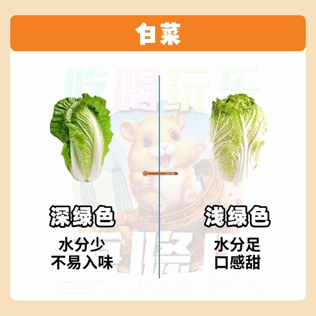 大马吃喝玩乐 - 教你分辨新鲜食材