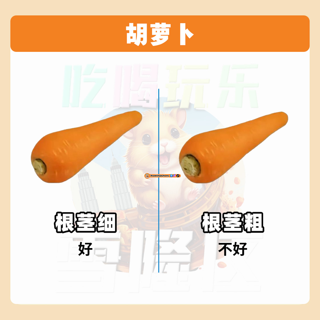 大马吃喝玩乐 - 教你分辨新鲜食材