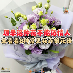 大马吃喝玩乐 - 8种常见花卉的花语 - 520 送花