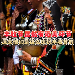 大马吃喝玩乐 - 沙巴的丰收节