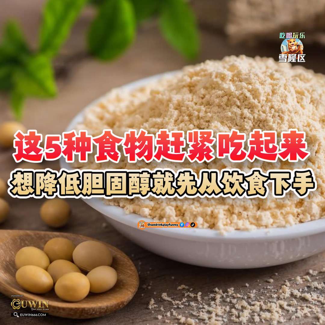 大马吃喝玩乐 - 降低胆固醇的食物