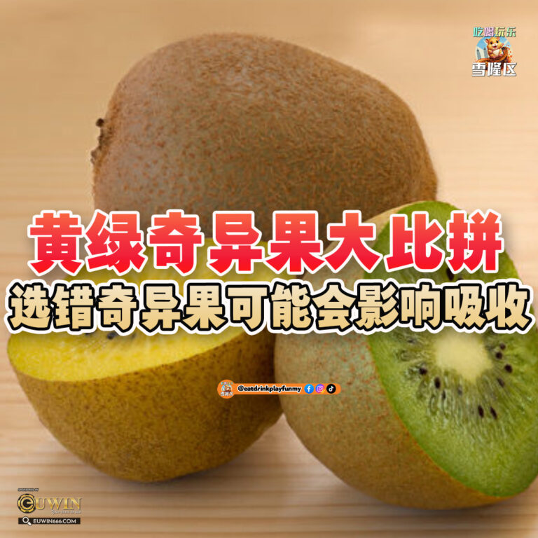 大马吃喝玩乐 - 黄绿奇异果的差别
