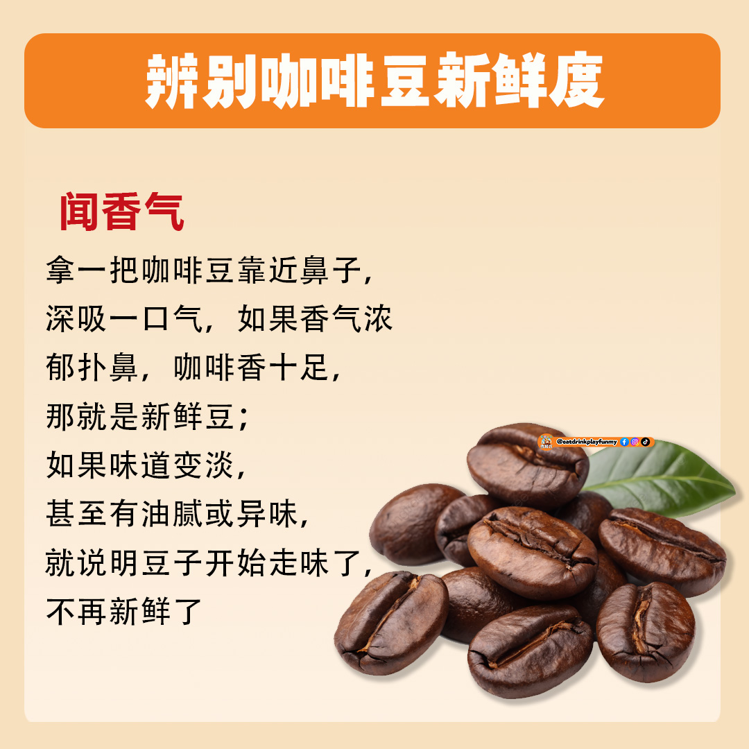 大马吃喝玩乐 - 辨别咖啡豆新鲜度