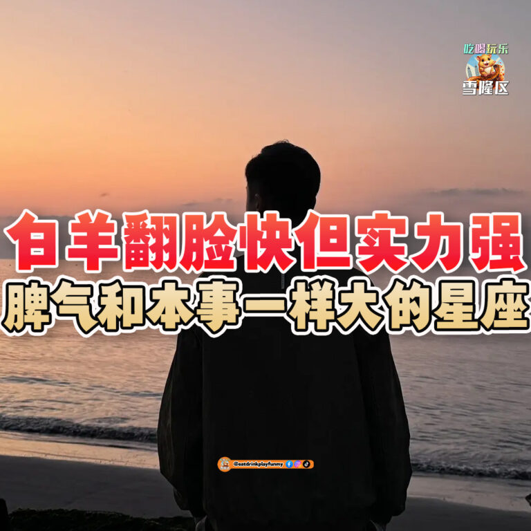 大马吃喝玩乐 - 有脾气也有能力的星座