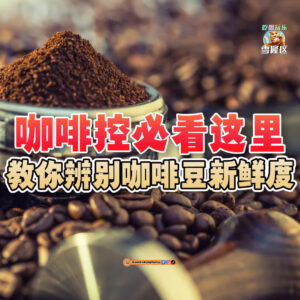 大马吃喝玩乐 - 辨别咖啡豆新鲜度