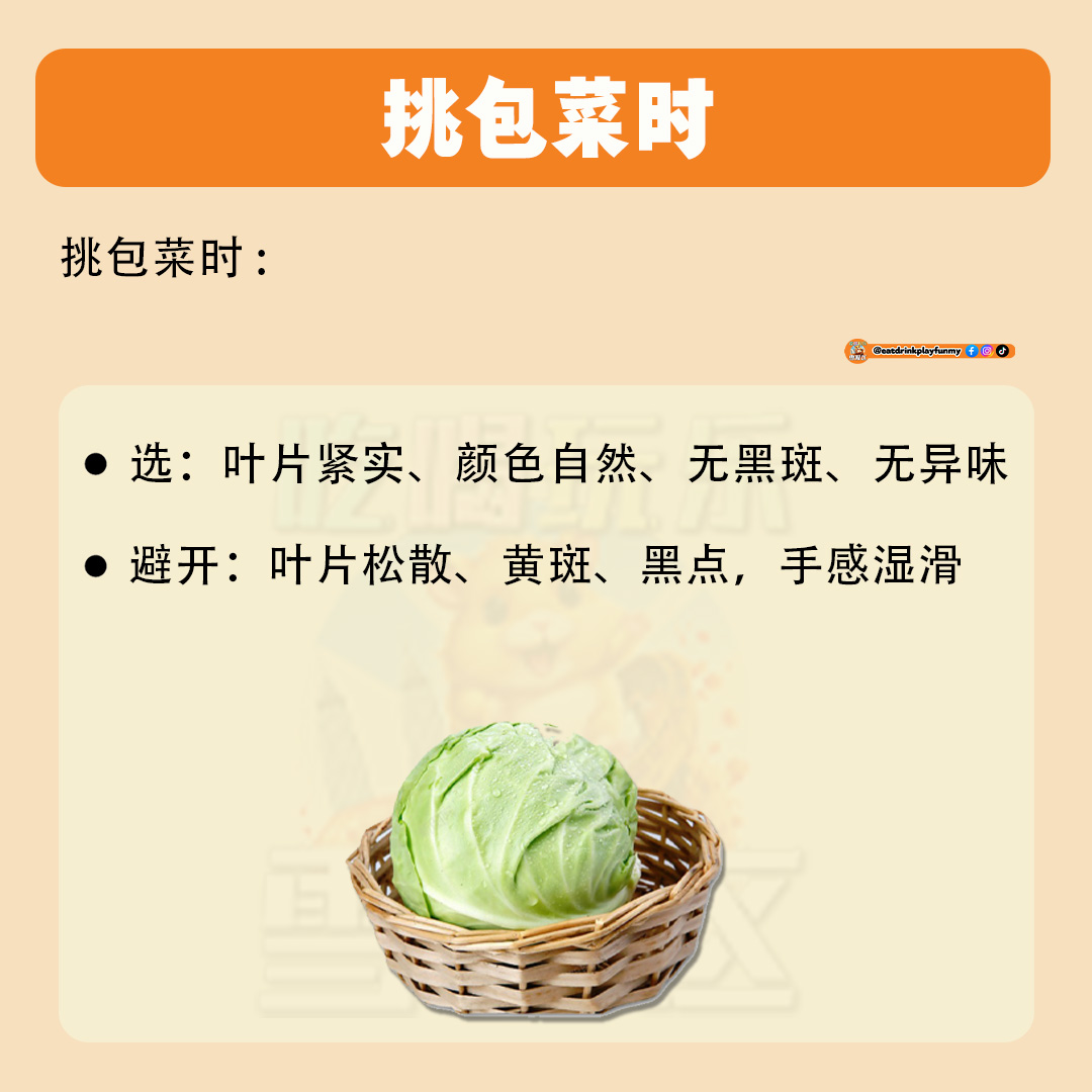 大马吃喝玩乐 - 这些征兆的包菜不能吃