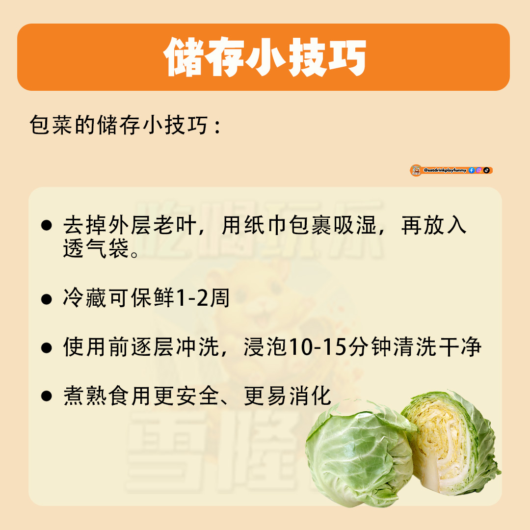 大马吃喝玩乐 - 这些征兆的包菜不能吃