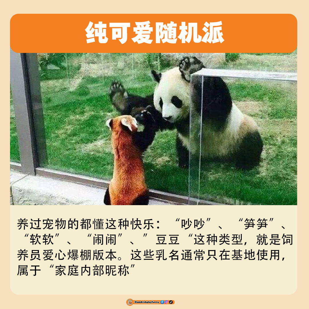 大马吃喝玩乐 - 熊猫为什么有2个名字