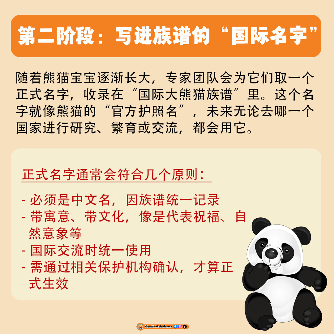 大马吃喝玩乐 - 熊猫为什么有2个名字