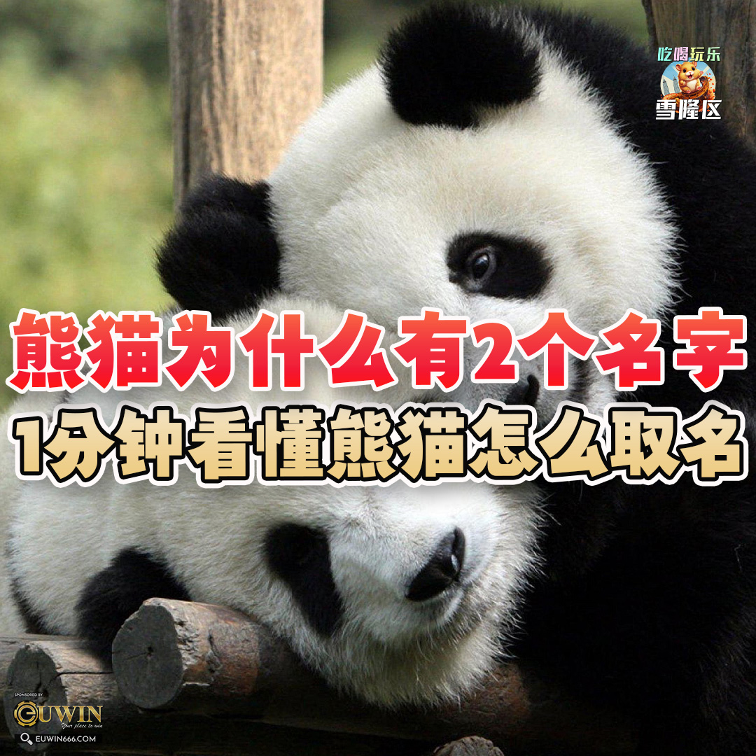 大马吃喝玩乐 - 熊猫为什么有2个名字